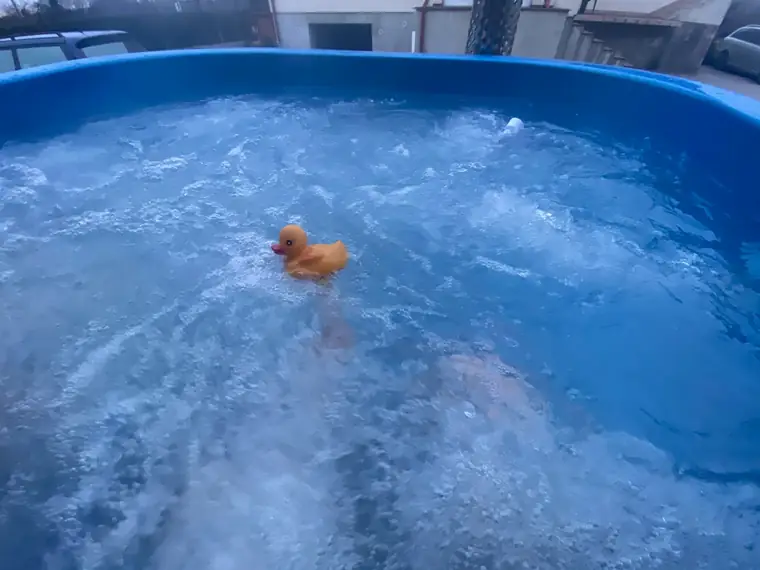 Kubilas gamtoje prie miško